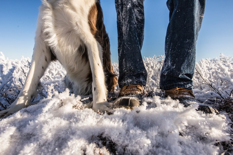 october-22nd-2016-fire-and-murphy-snow-raw-113b