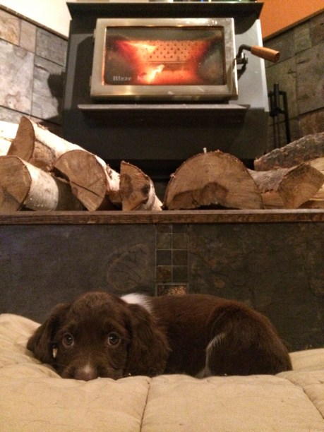 Processed with Snapseed.