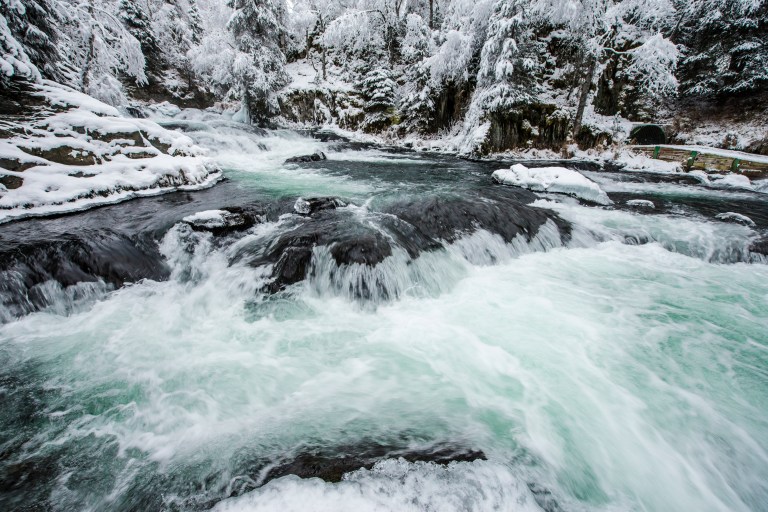 November 27th, 2016 - A Kenai Thanksgiving (RAW) 262b_1.JPG